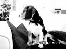 Gaby Du Clan De Sembel